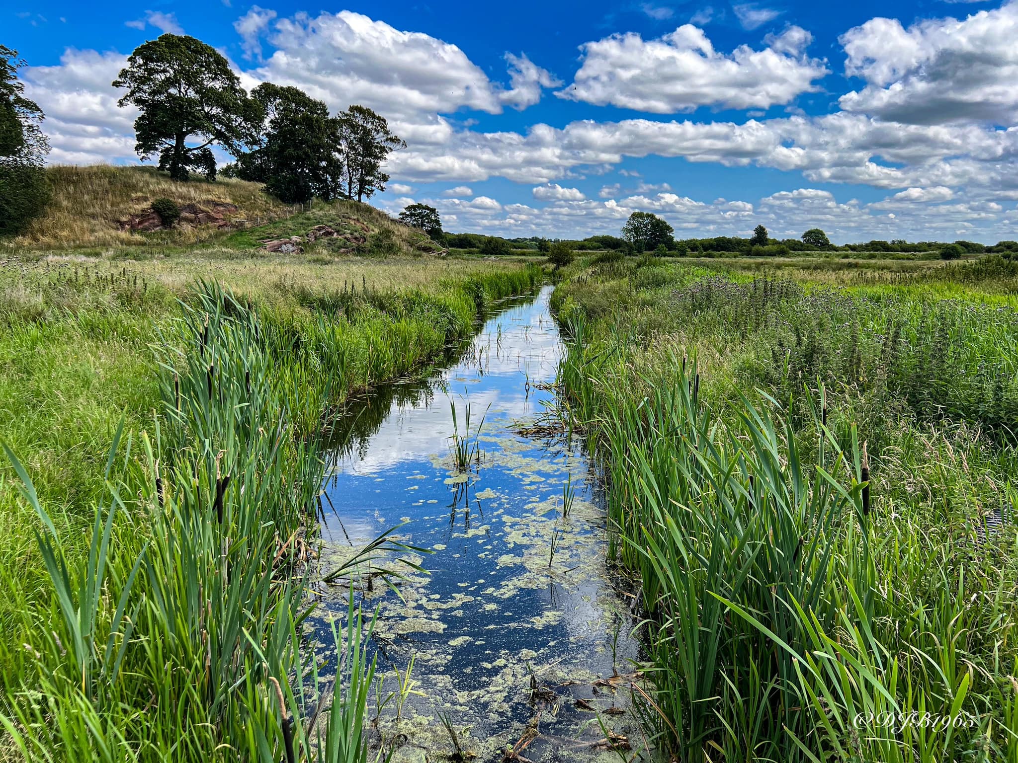 Reflections at Burton Wetlans by David Blackwood