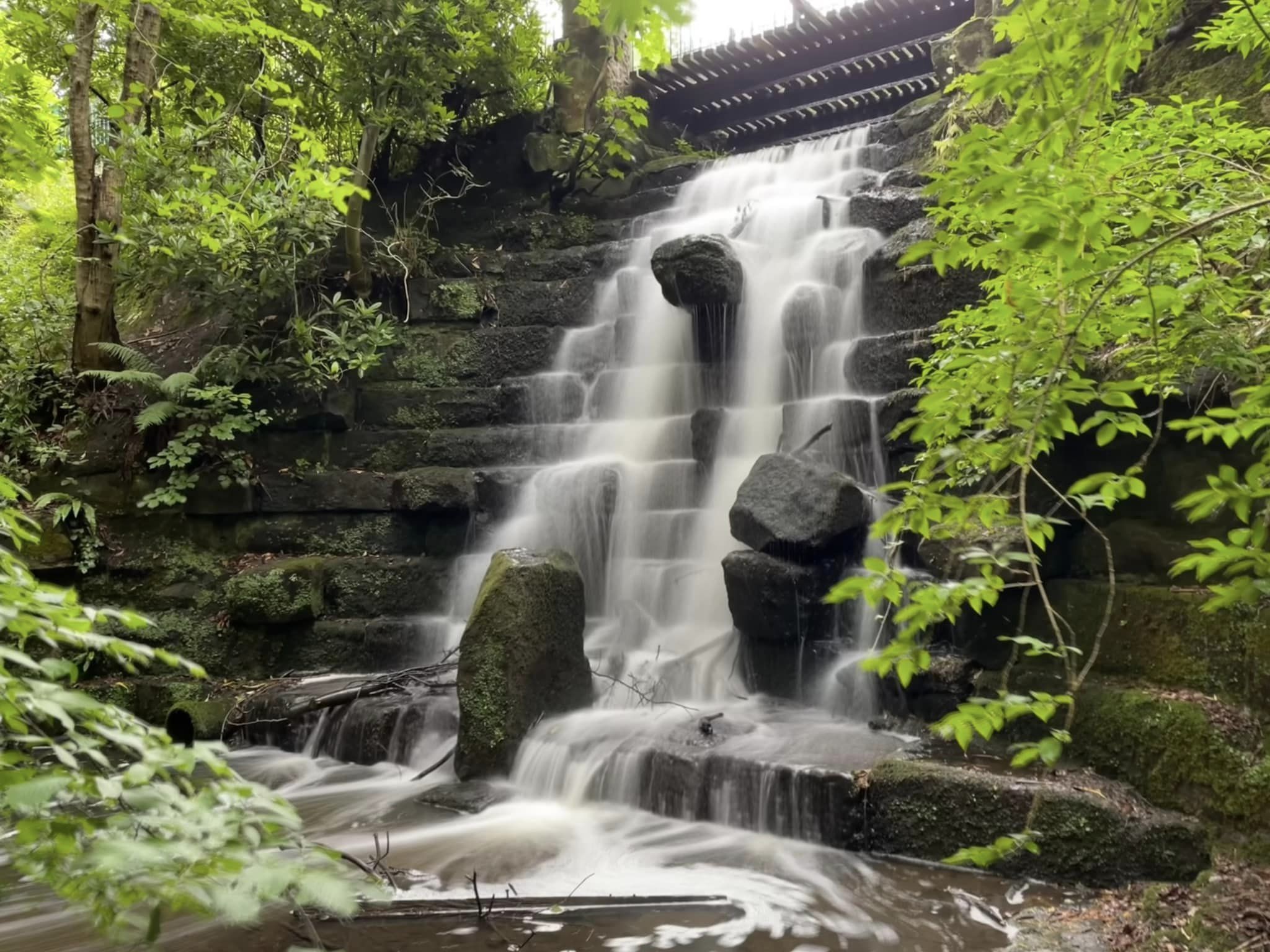 Arrowe Park after the rain by Cate Jones