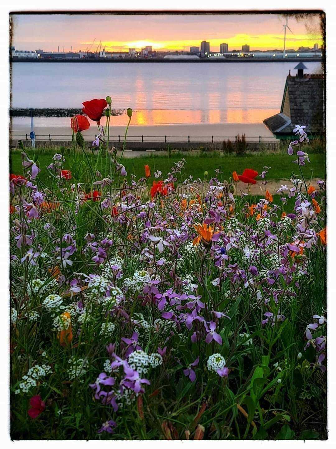A moments pause at sunrise in New Brighton by Paul Neish