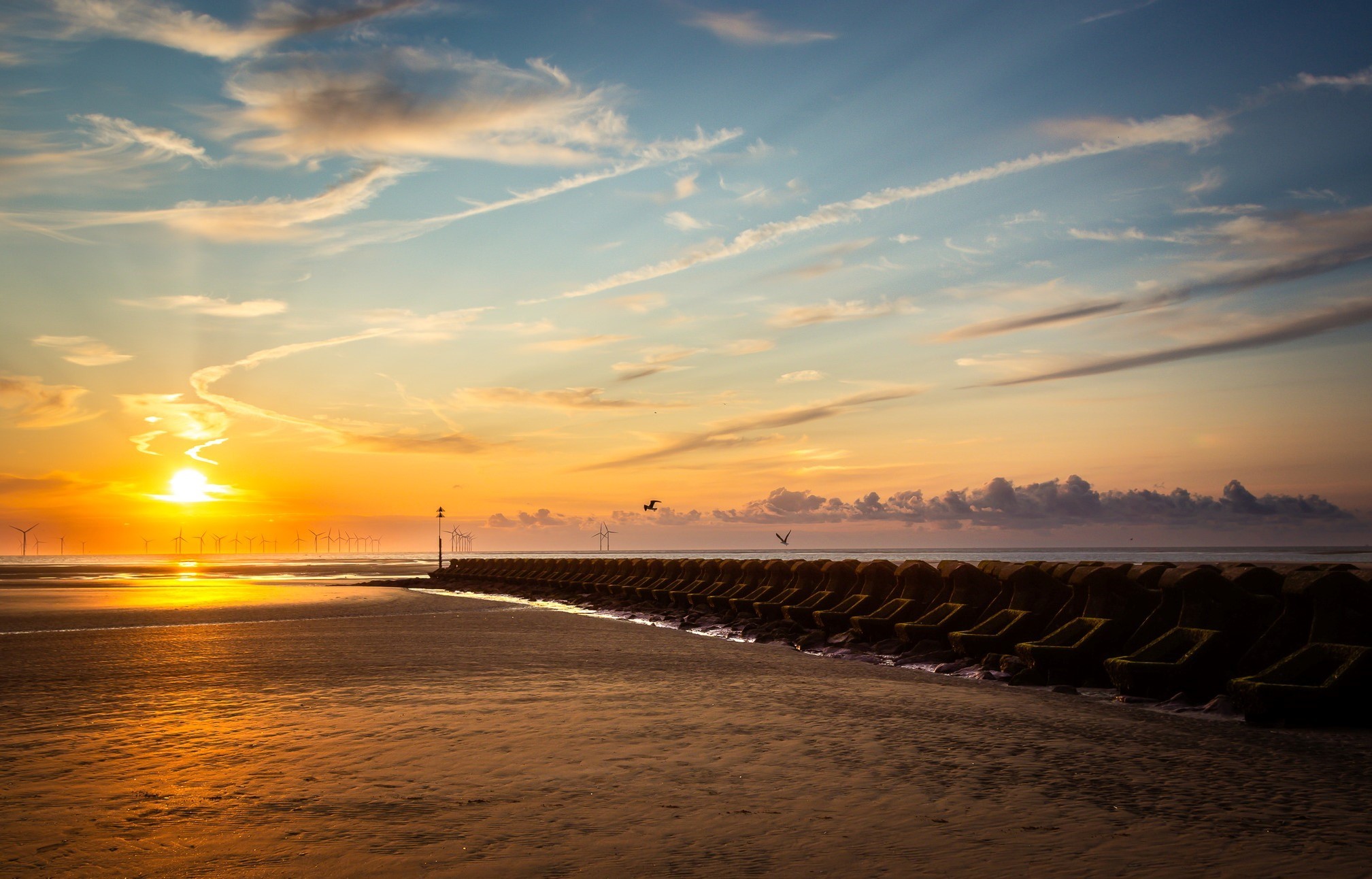 Harrison Drive beach by Tracey Rennie