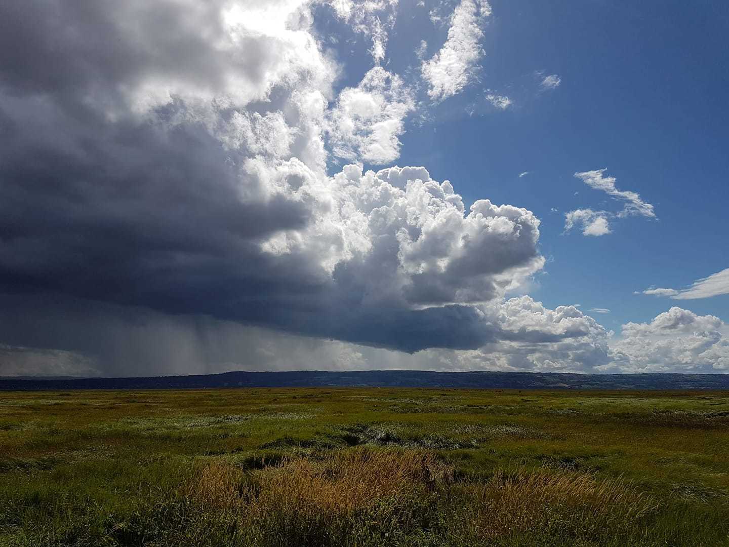 Parkgate by Jenny Ward