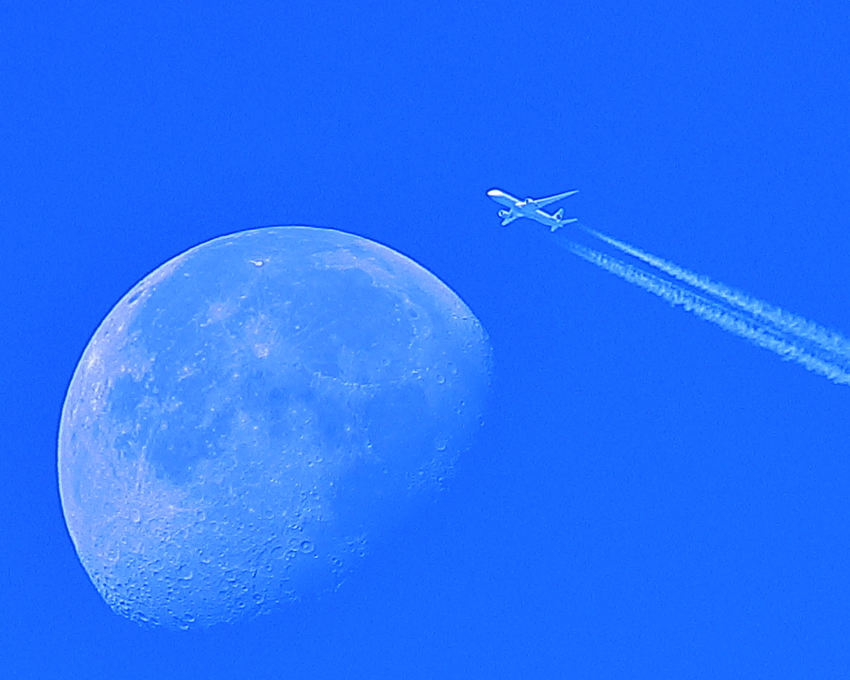 Fly me to the moon by Mike Morgan