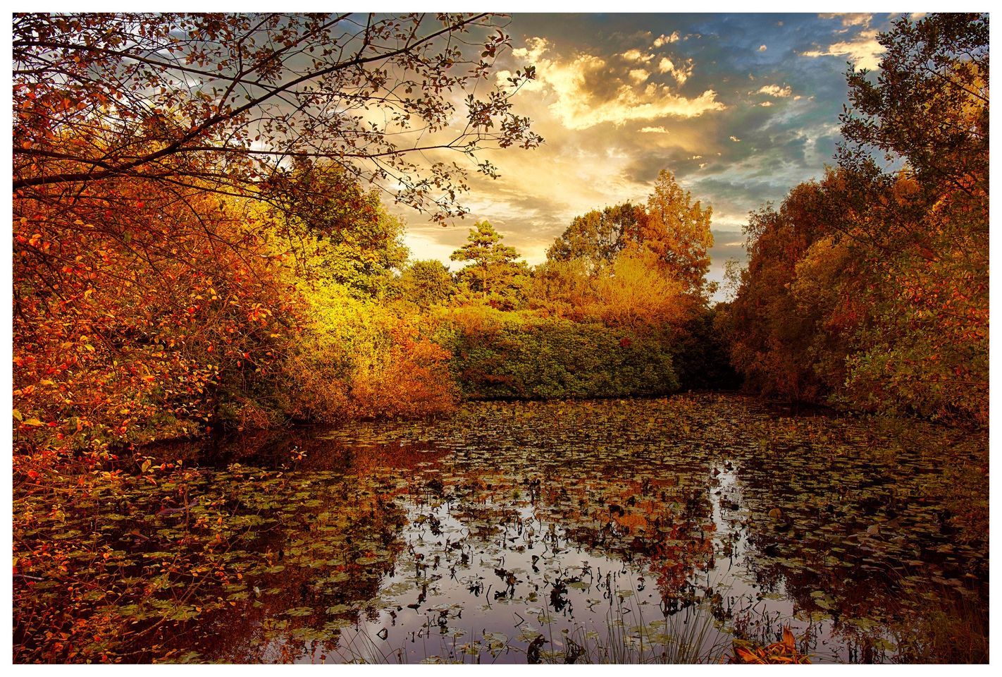 Autumn colours at Frankby by Barry Brown