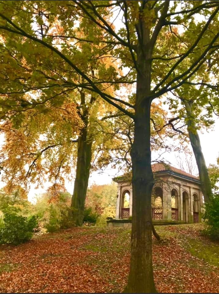 Birkenhead Park in autumn by Beryl Cooke