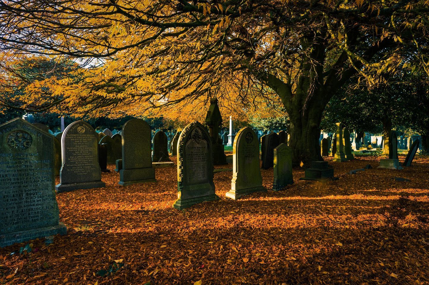 Autumn colours in Flaybrick by Dave Guy