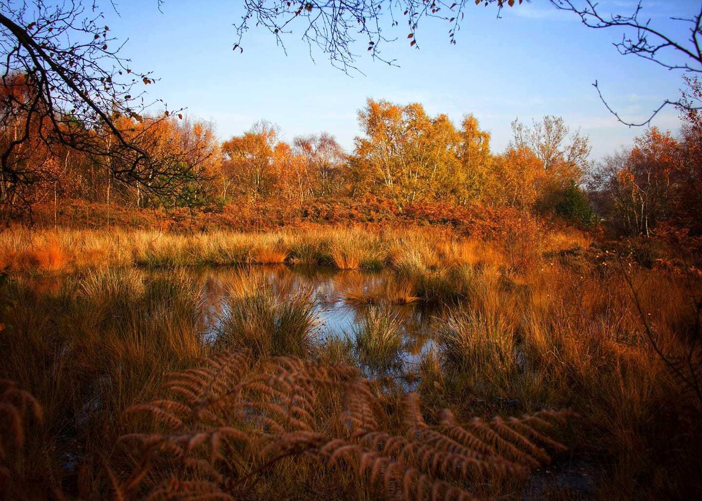 Changing seasons in Thurstaton by JW Snapshots