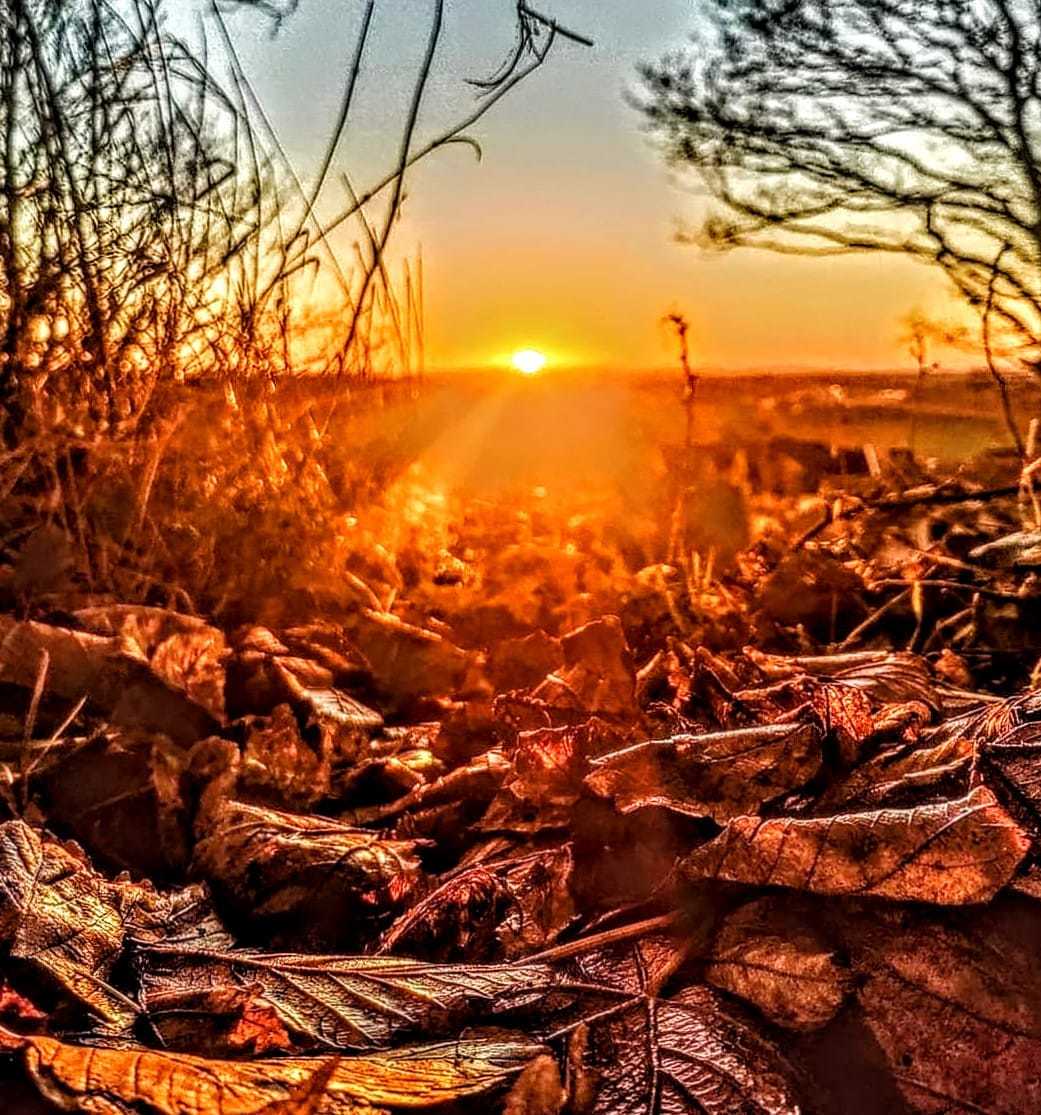 Autumnal sunset at The Breck by Kimberley Phillips