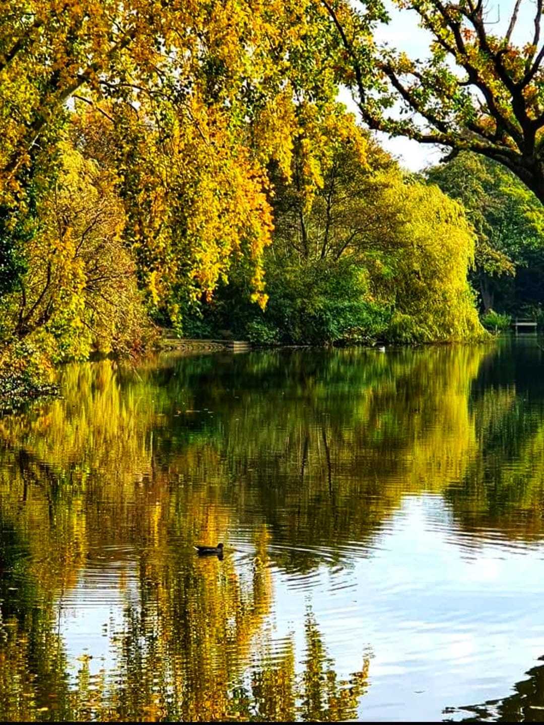 On the change at Birkenhead Park by Mandy Williams