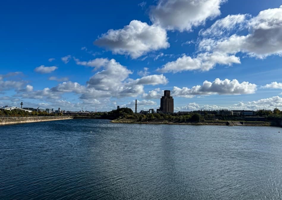 Birkenhead by David Blackwood