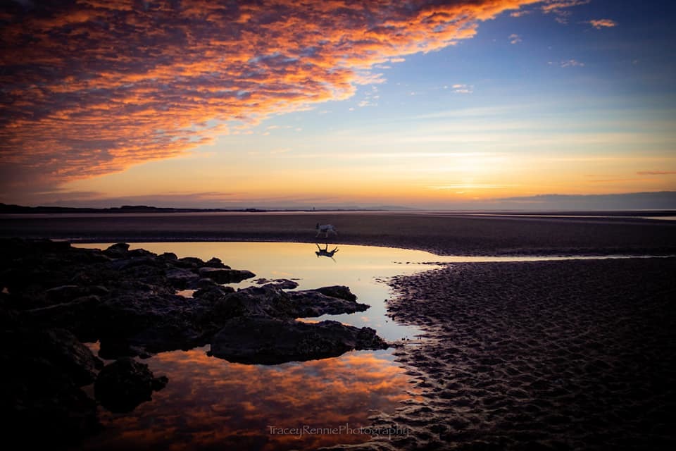 Wallasey beach by Tracey Rennie