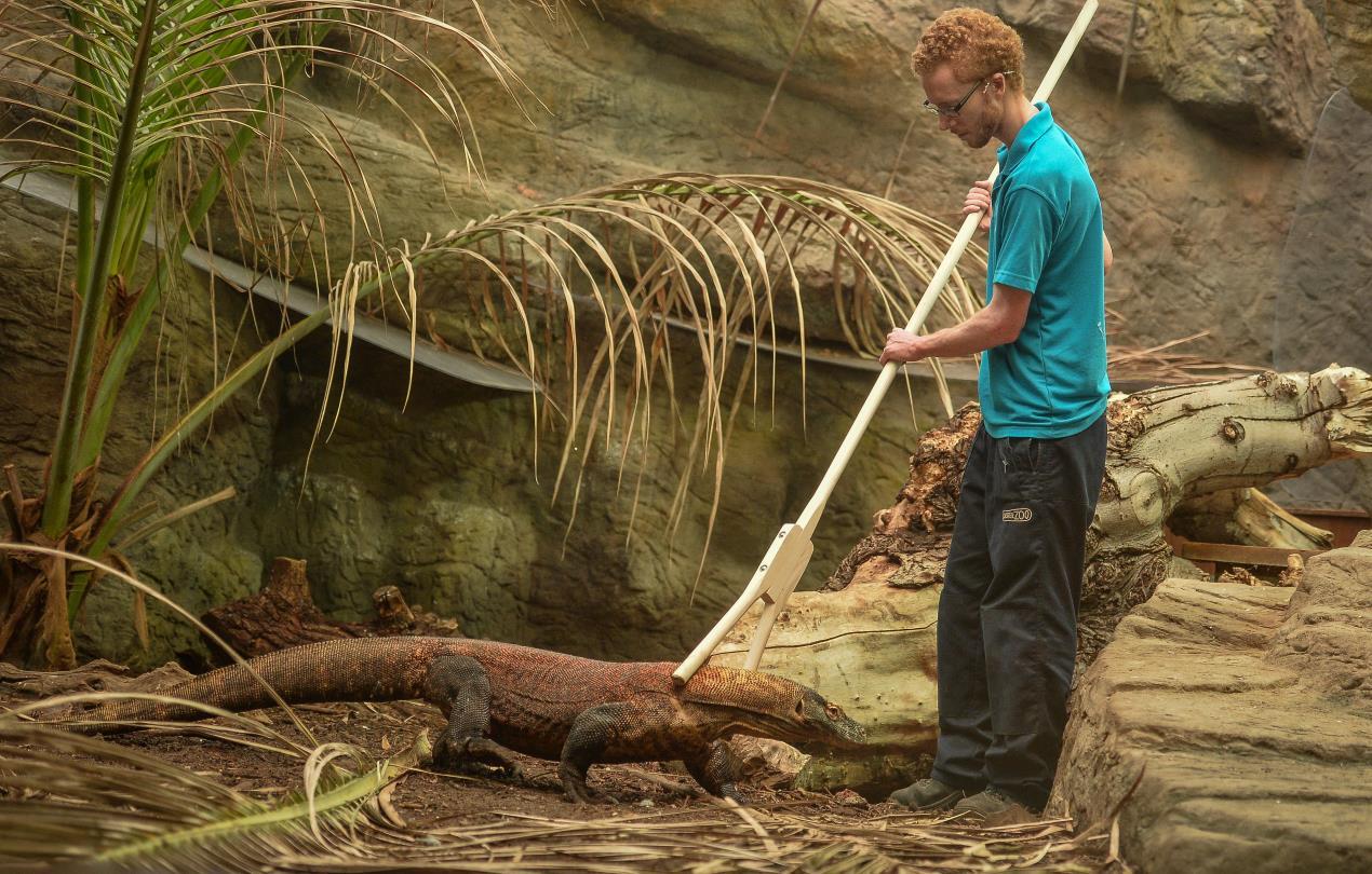 Apprentices are being sought to work at Chester Zoo.