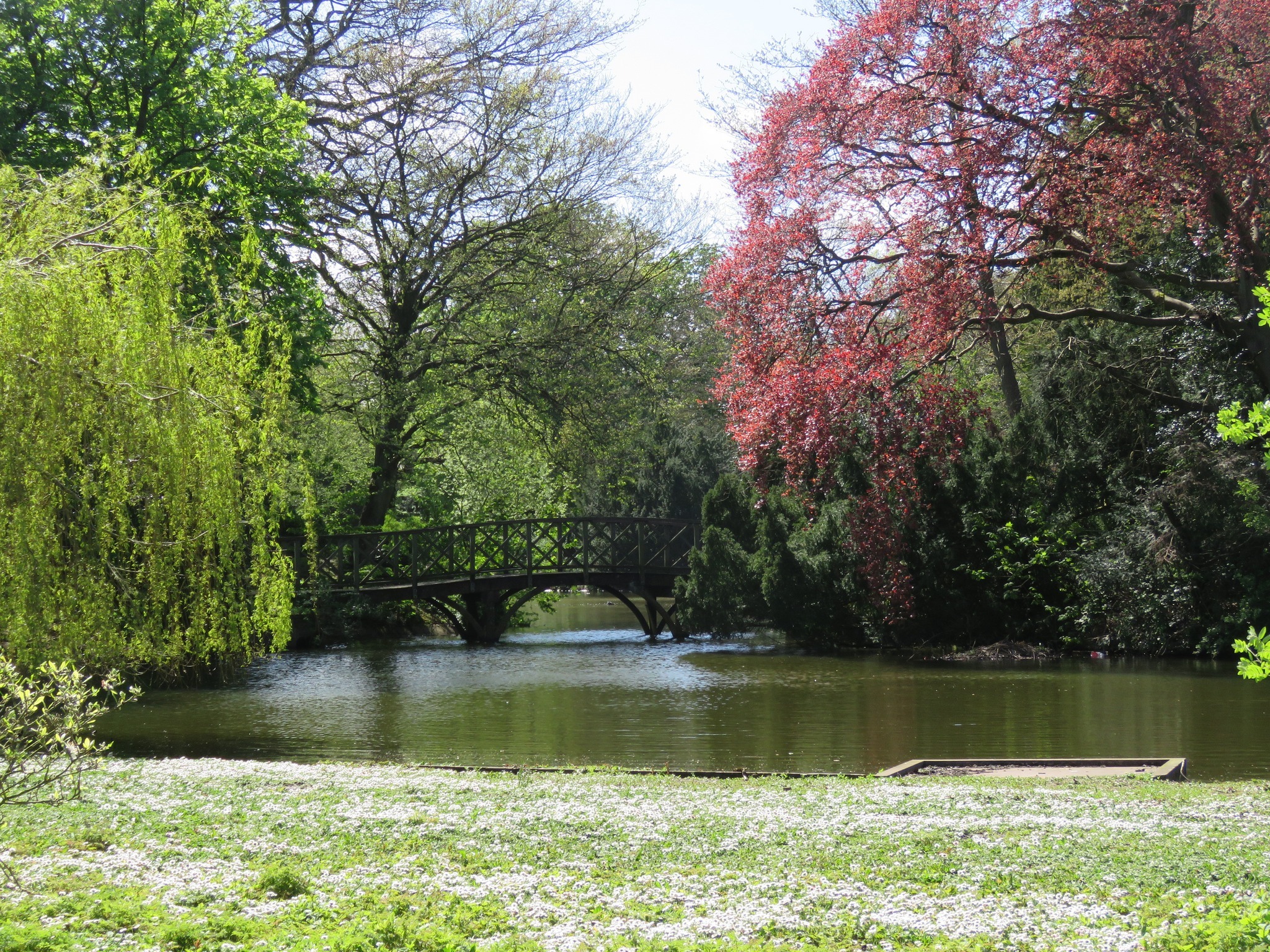 Birkenhead Park by Jane Mckellar