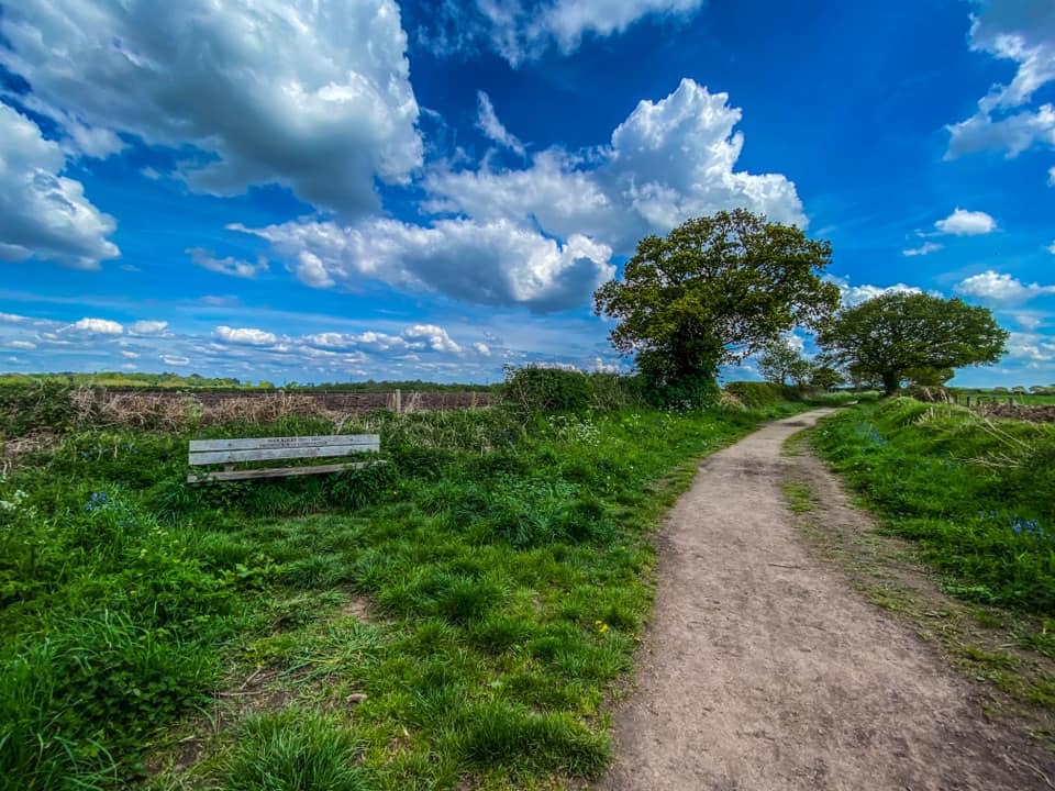 Cuckoo Lane by Ian Dean