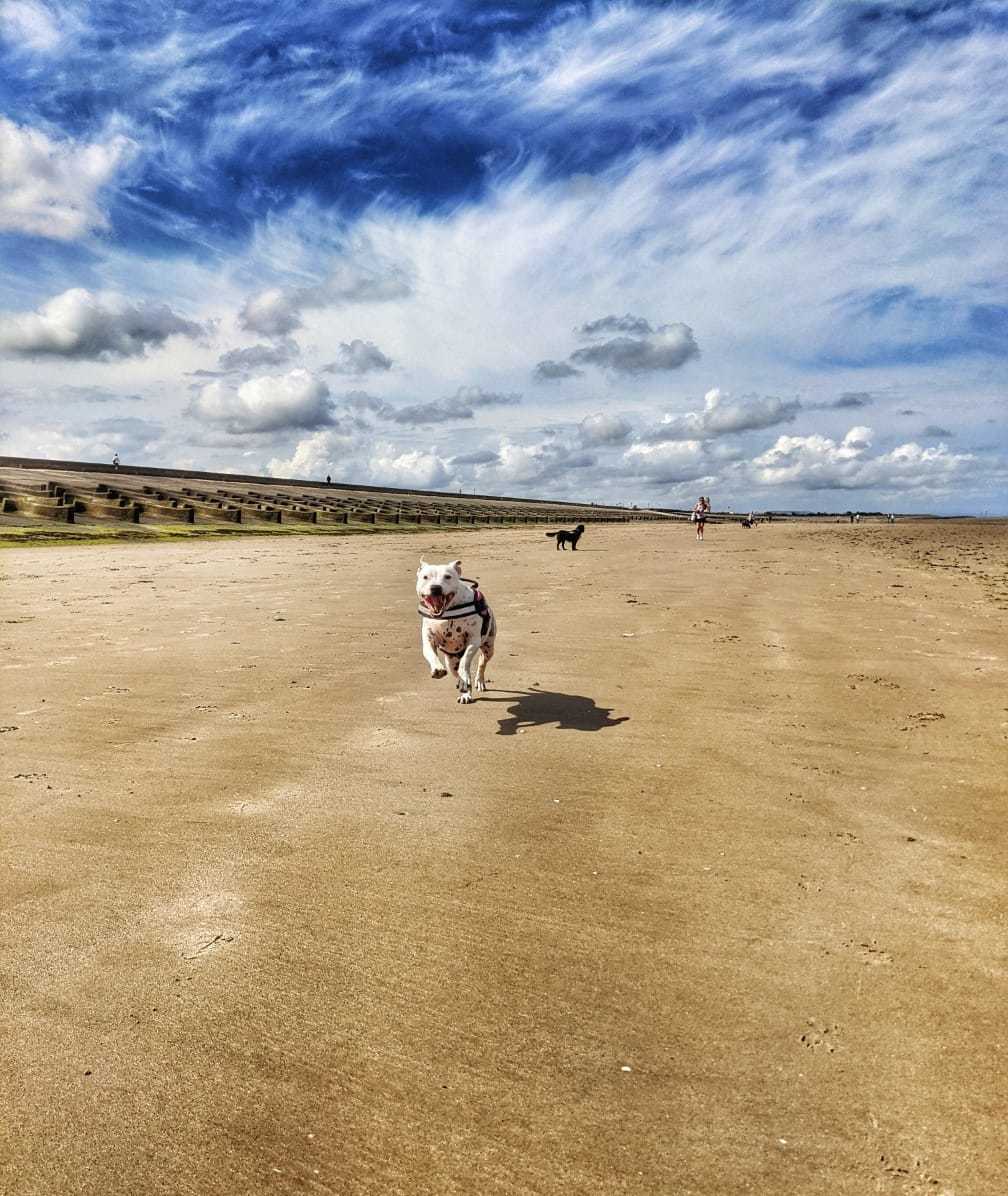 Leasowe beach by Kirsty Carroll