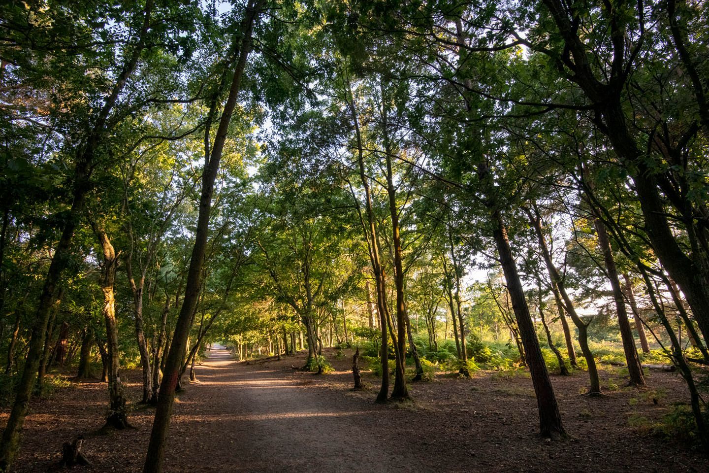 Royden Park by Richard Bradford