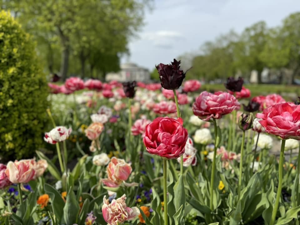 Port Sunlight by David Blackwood