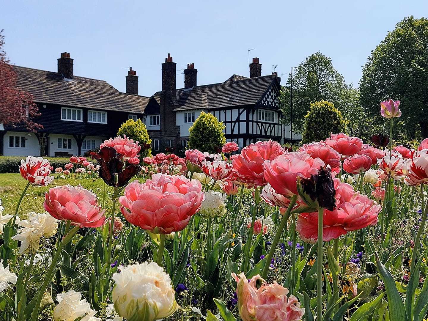 Port Sunlight byJulie Longshaw