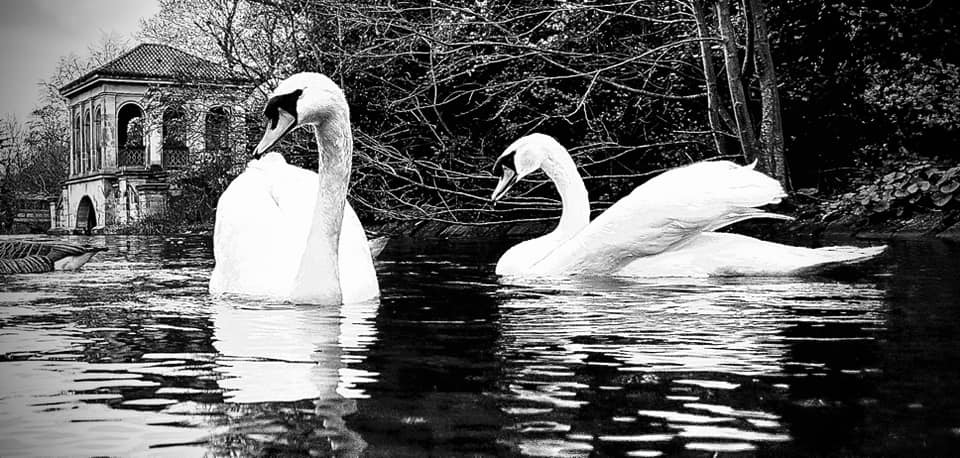 Birkenhead Park by Carl Harrison