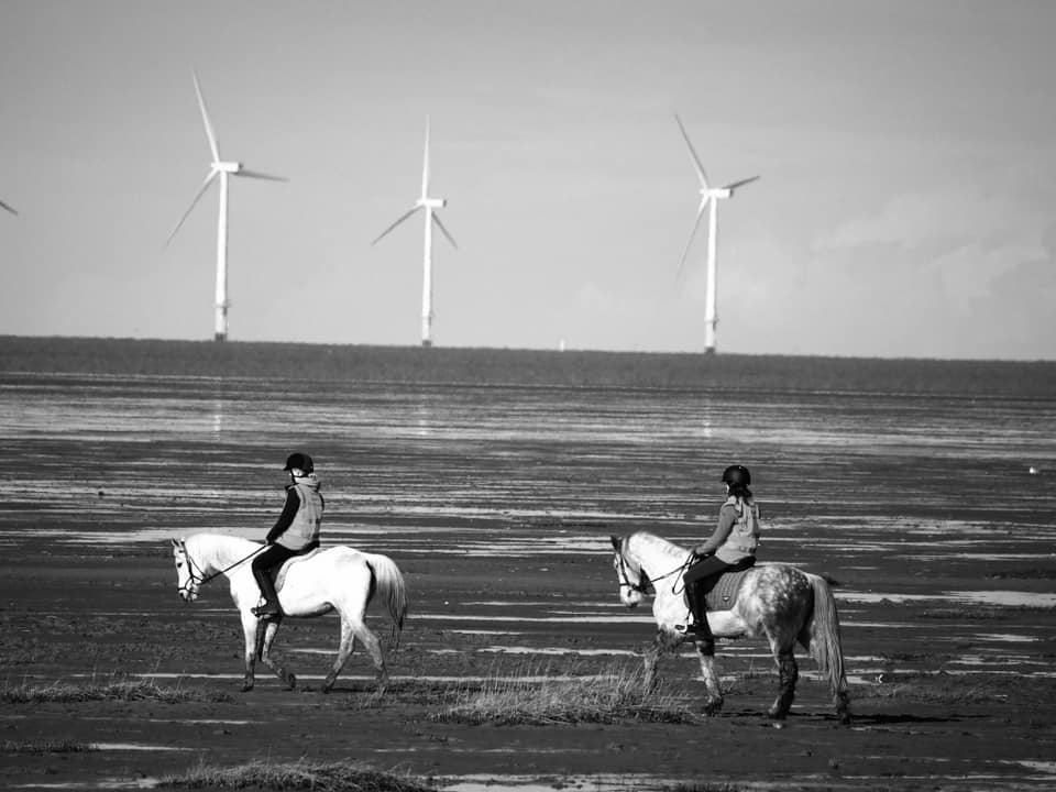 Meols beach by Marilyn Goldsmith