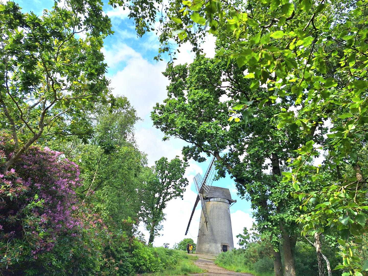 Bidston Hill windmill by Jan Connor