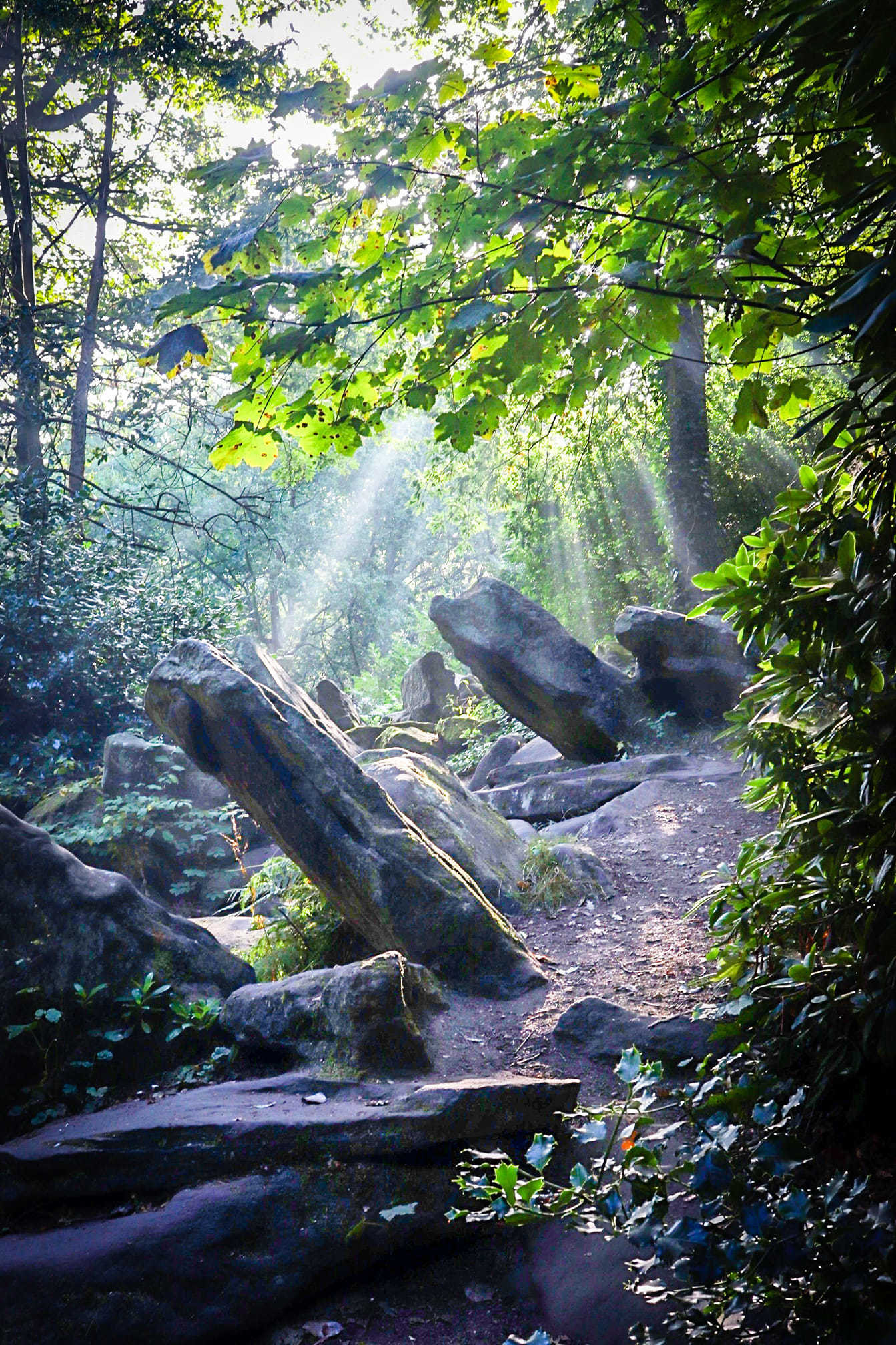 Birkenhead Park by Paul Collinson