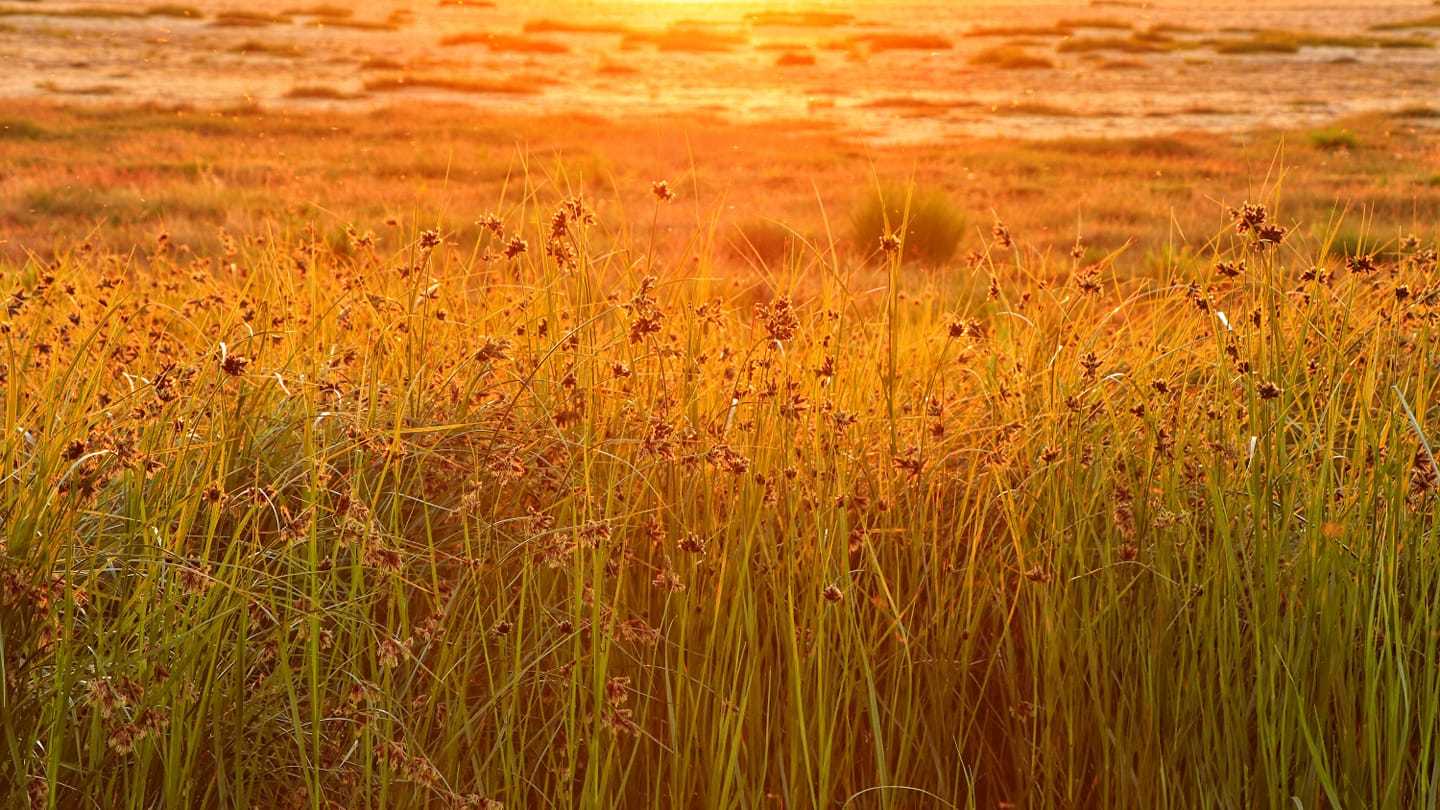 Golden hour hoylake prom by Angela Rix