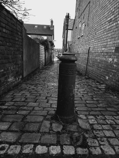 Alley between Brockley and Avenue and Cavendish Road by David Elms