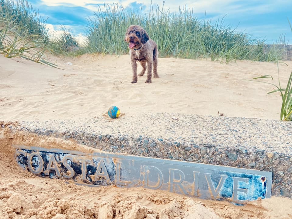 Coastal Drive, Wallasey by Sara Wynne