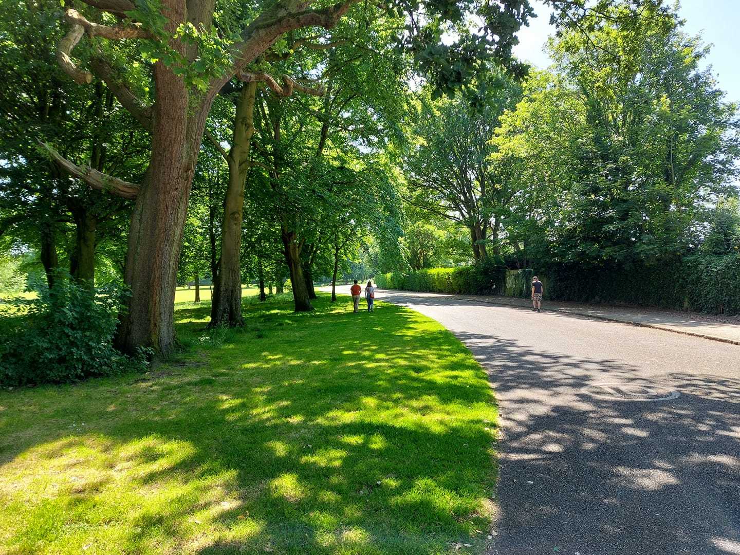 Birkenhead Park by Julie Longshaw