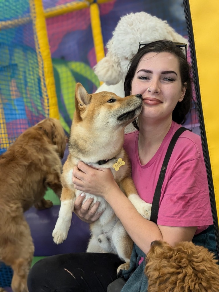 Furry friends at Dogs Go are treated like members of the family