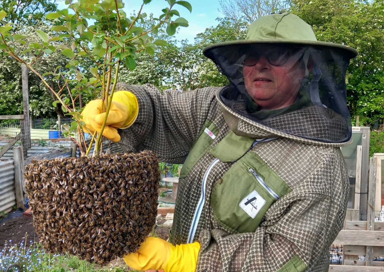 Helen and Angela have been beekeeping for seven years