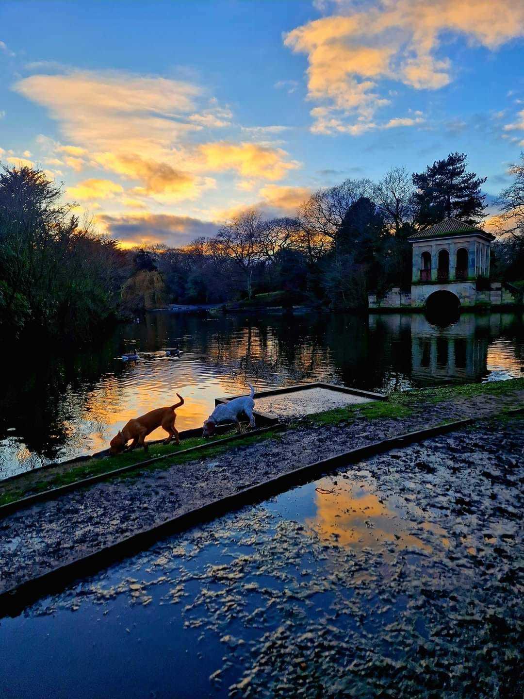 Birkenhead Park by Jade McCabe