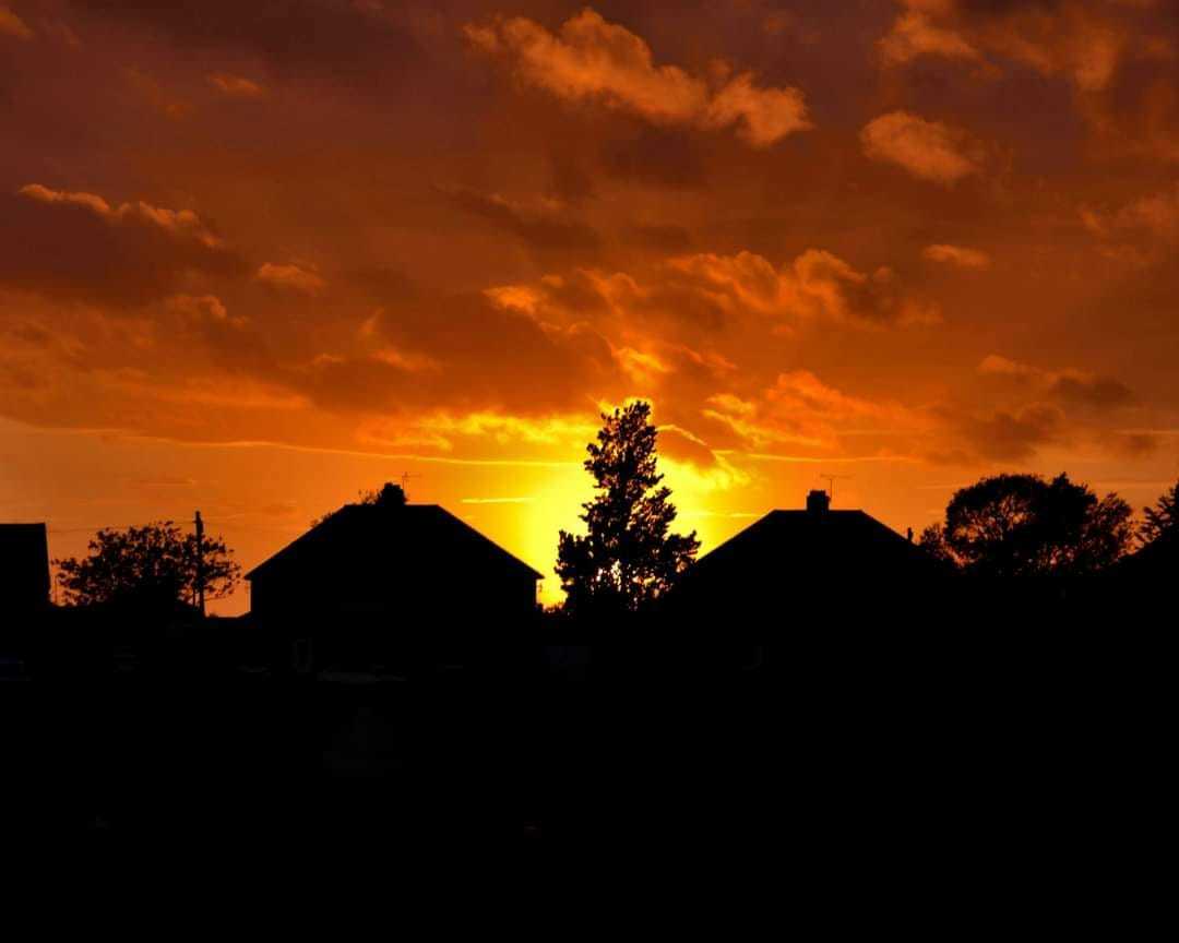 Lingham Park by Gareth Martin