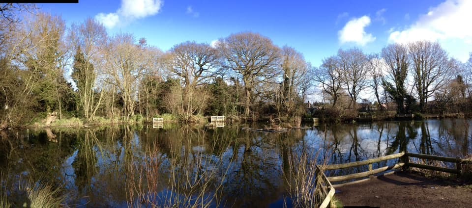 Dibbinsdale Nature Reserve by Elaine Burrows