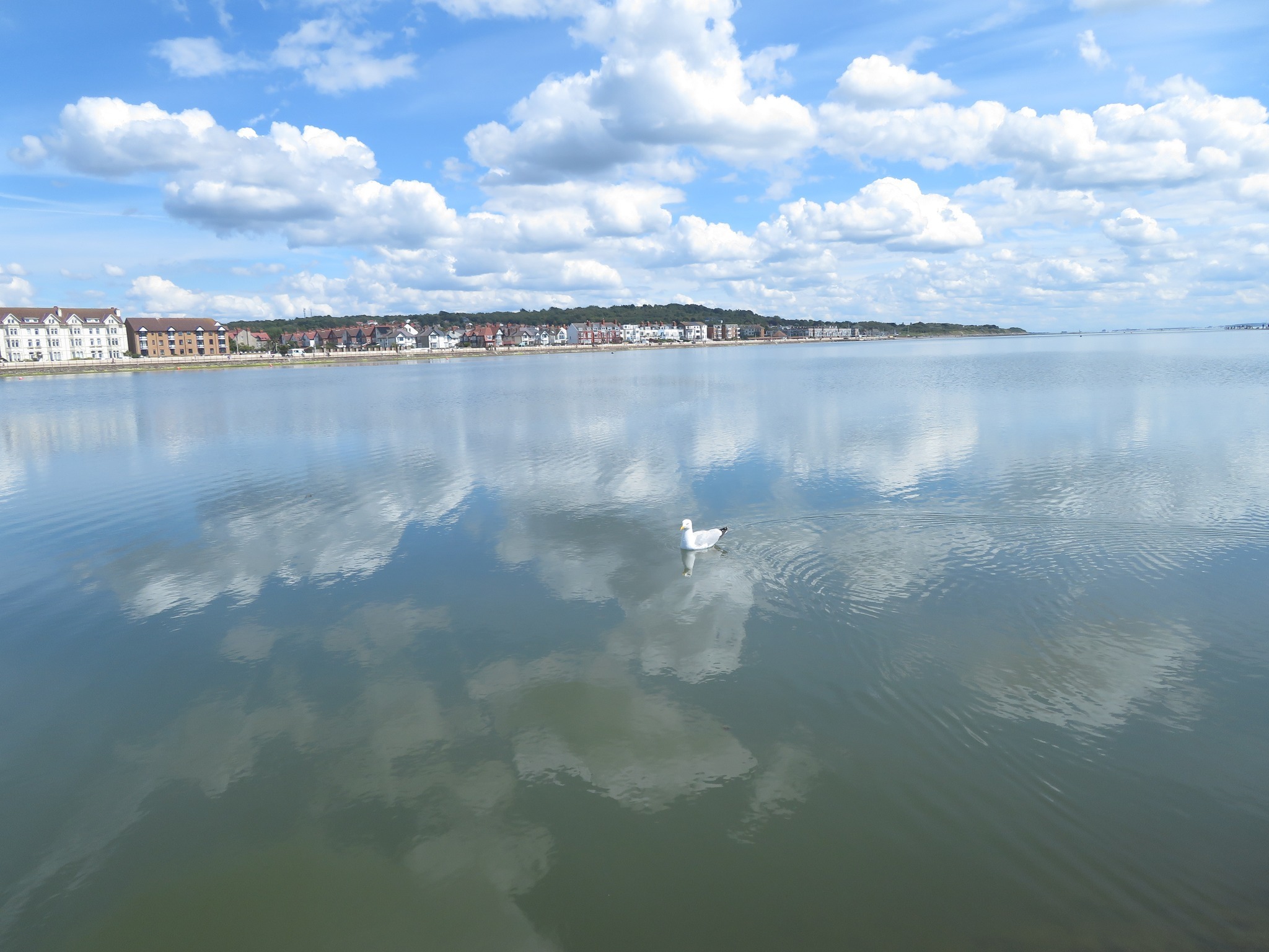 Marine Lake by Jan Peddie