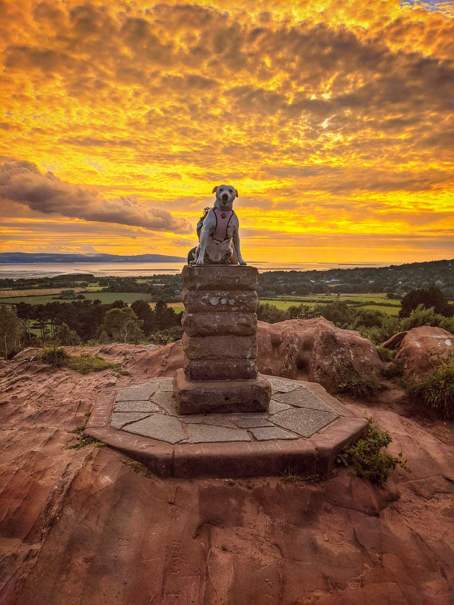 Thurstaston Common by Kirsty Carroll