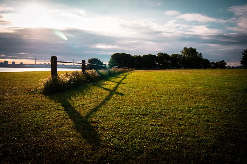 Tower Grounds by Tracey Rennie