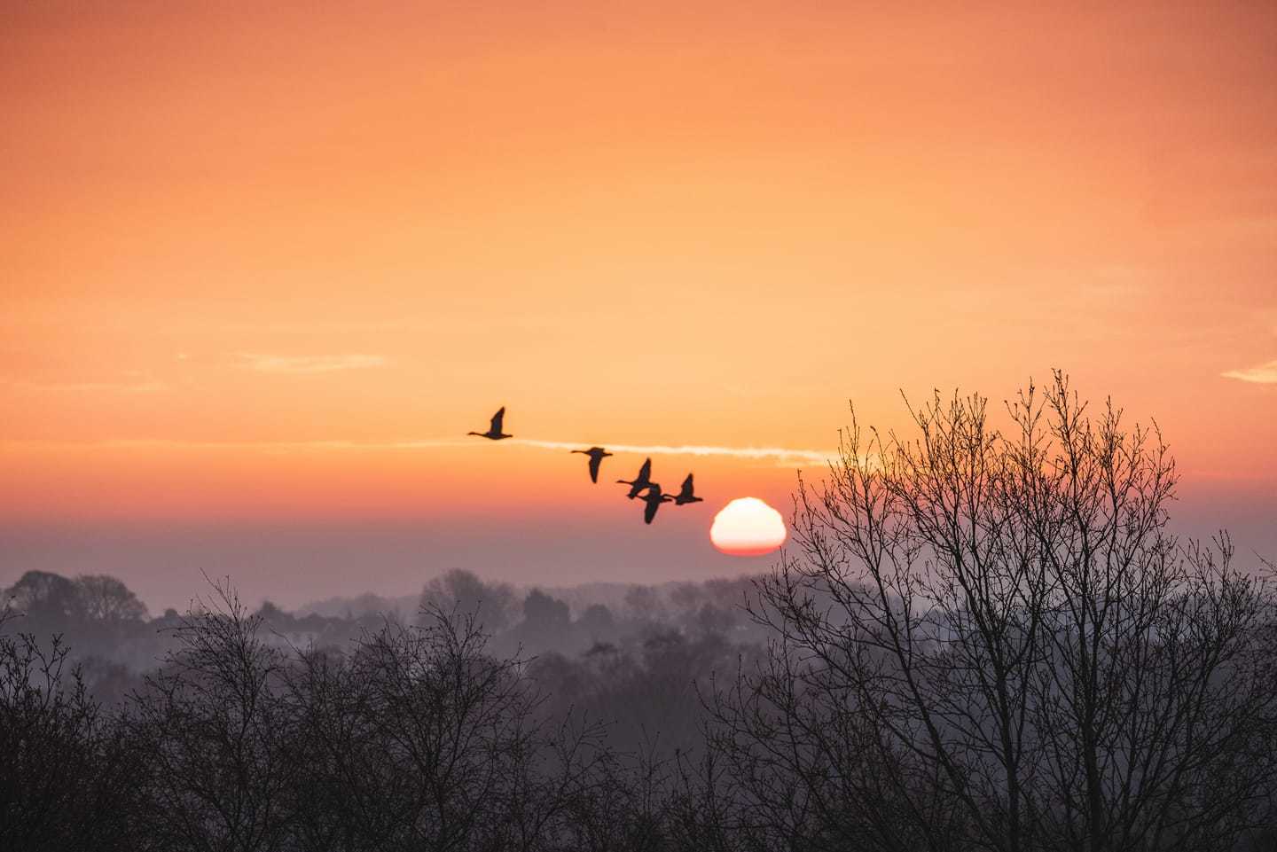 Take off at sunrise by Alan McAleavey