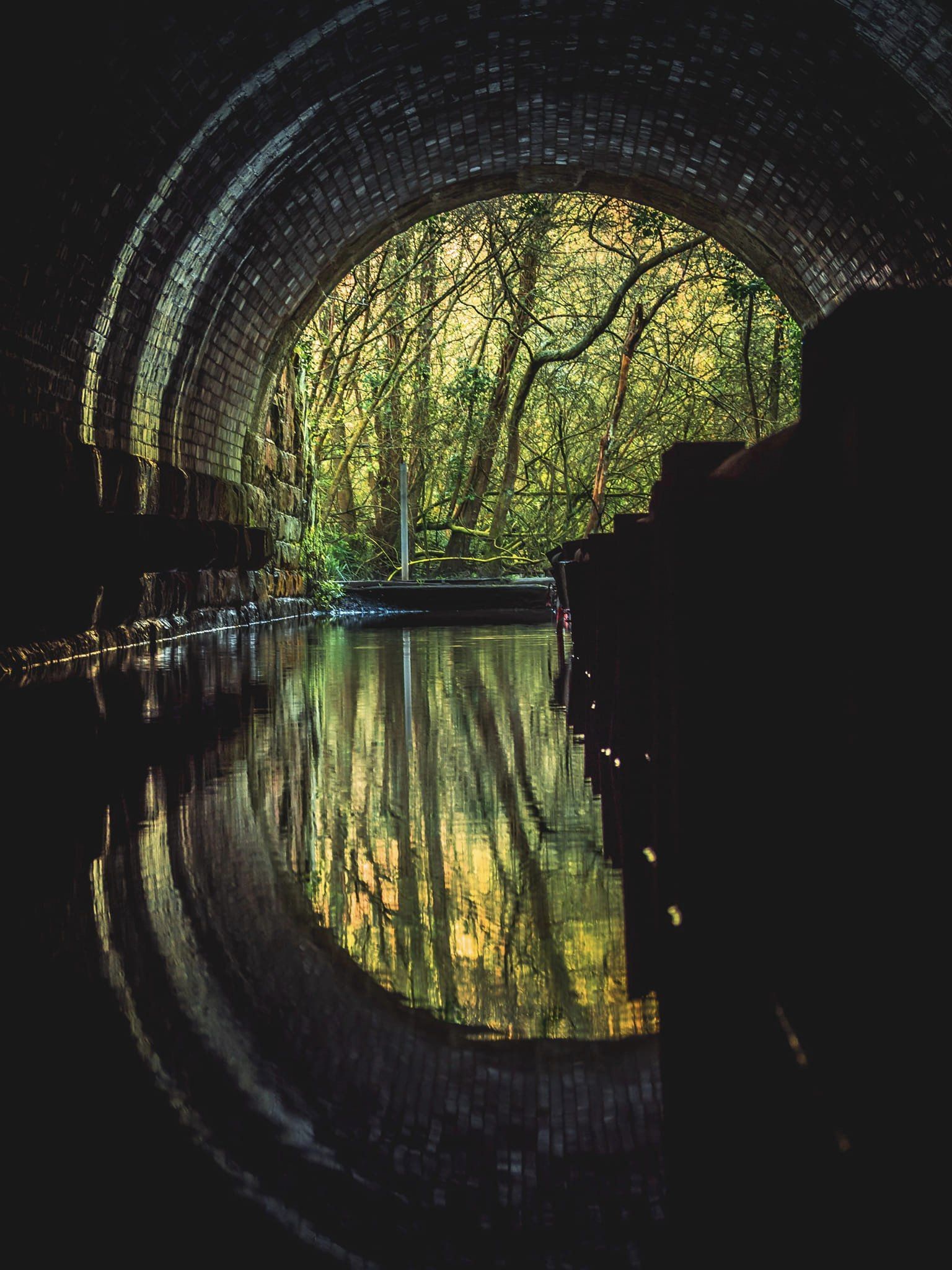 Dibbinsdale Nature Reserve by Barry Wade