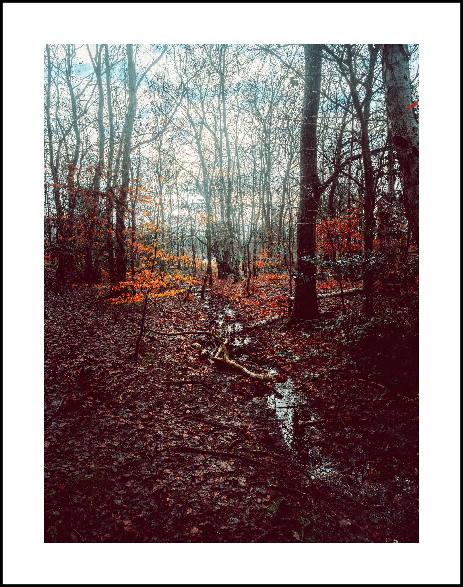 Royden Park by Dave Guy