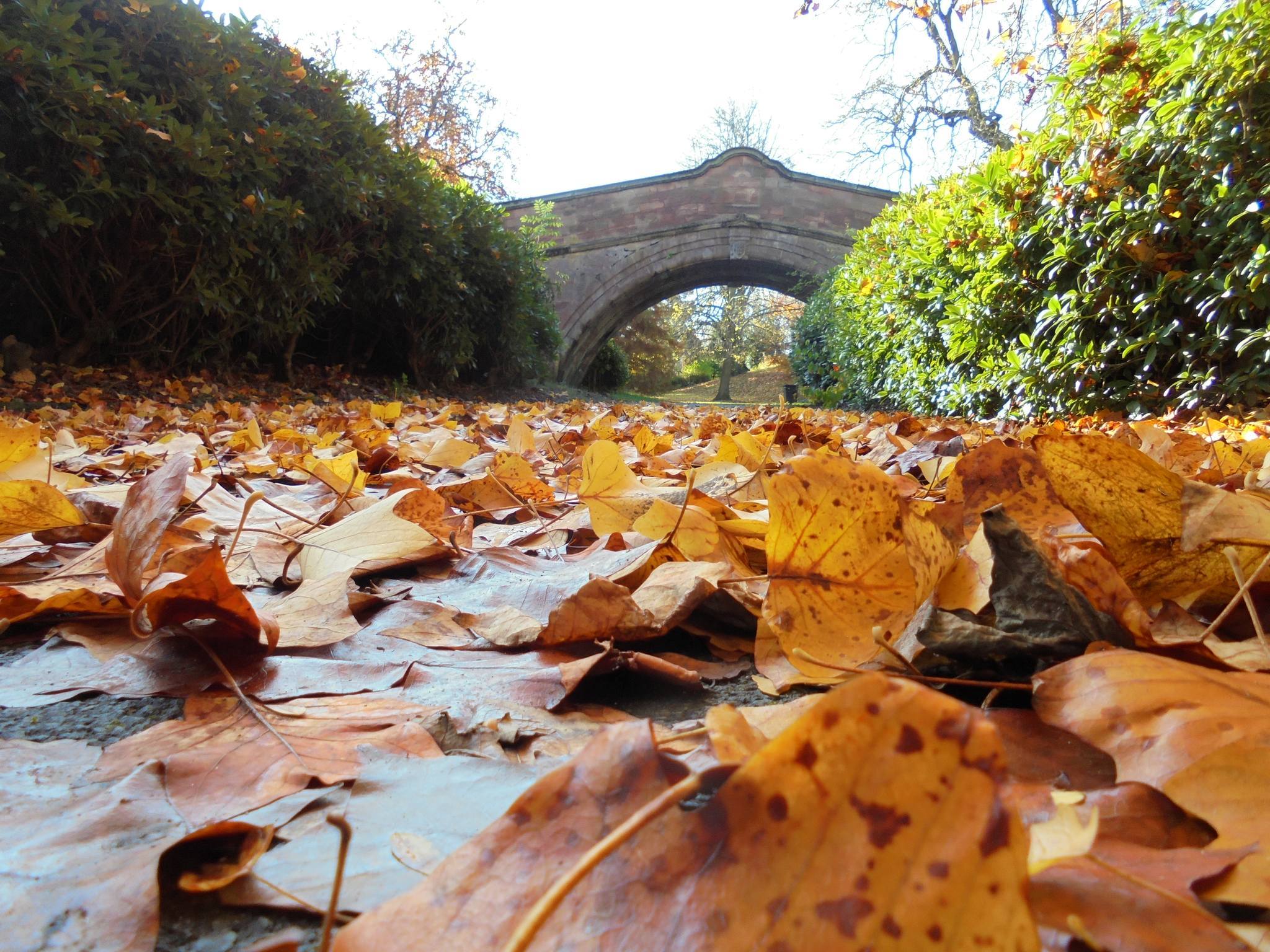 The Dell, Port Sunlight by Robert Orr