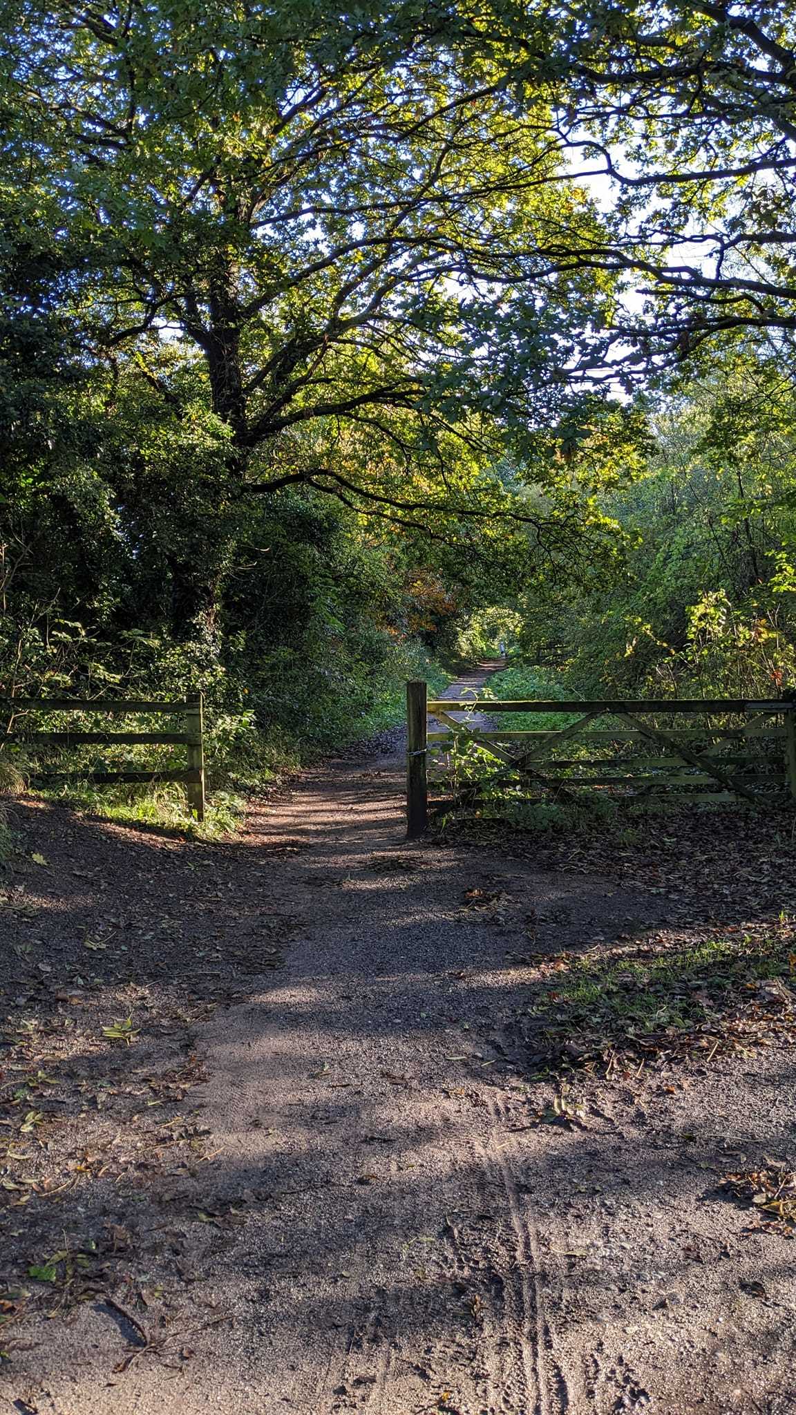 Wirral Way by Anna Graham