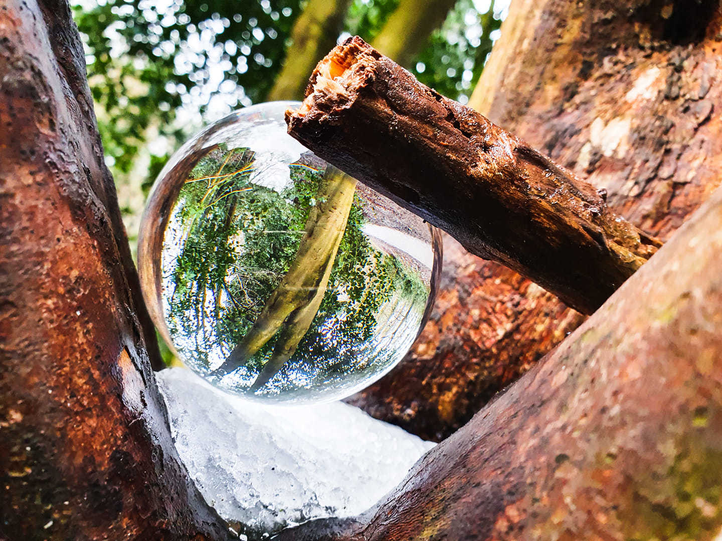 Sphere reflections at Arrowe Park by Lucy Dempsey