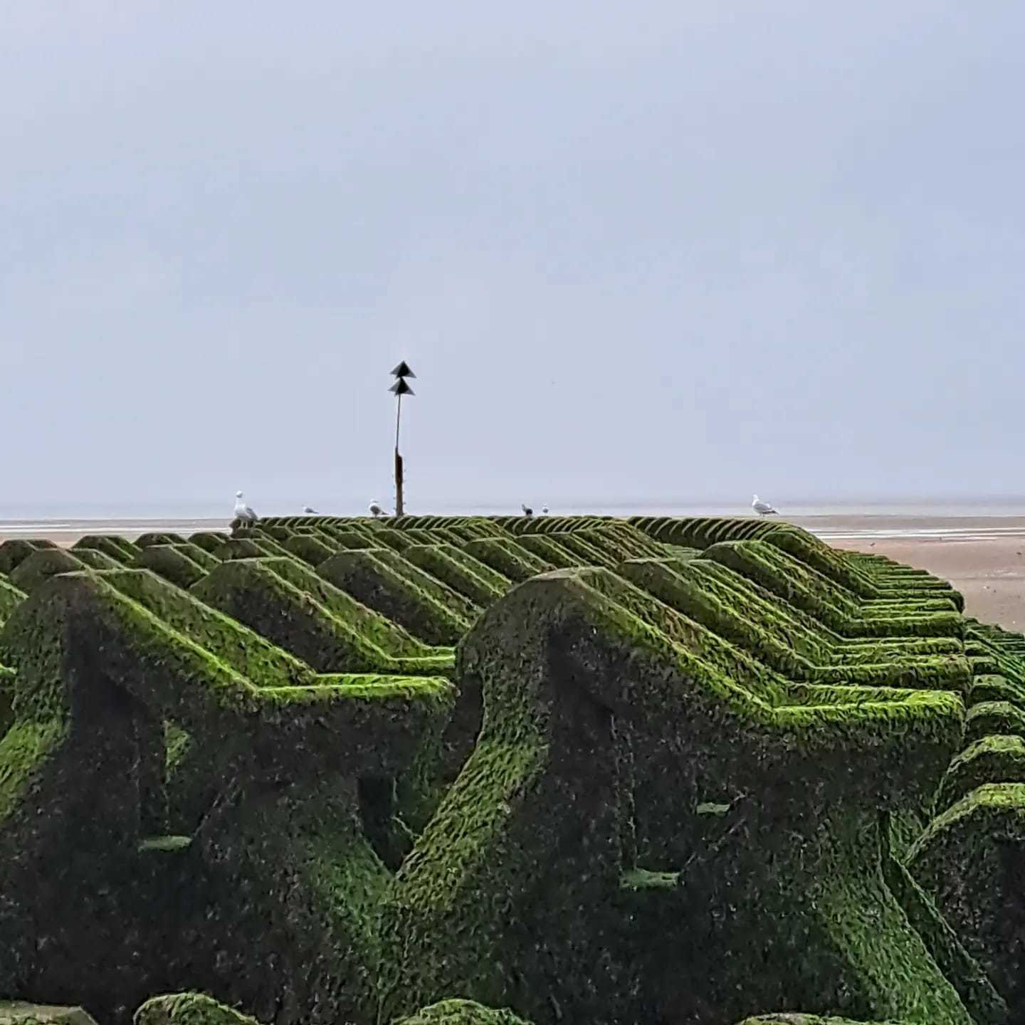 Wallasey beach by Fabienne Mireille