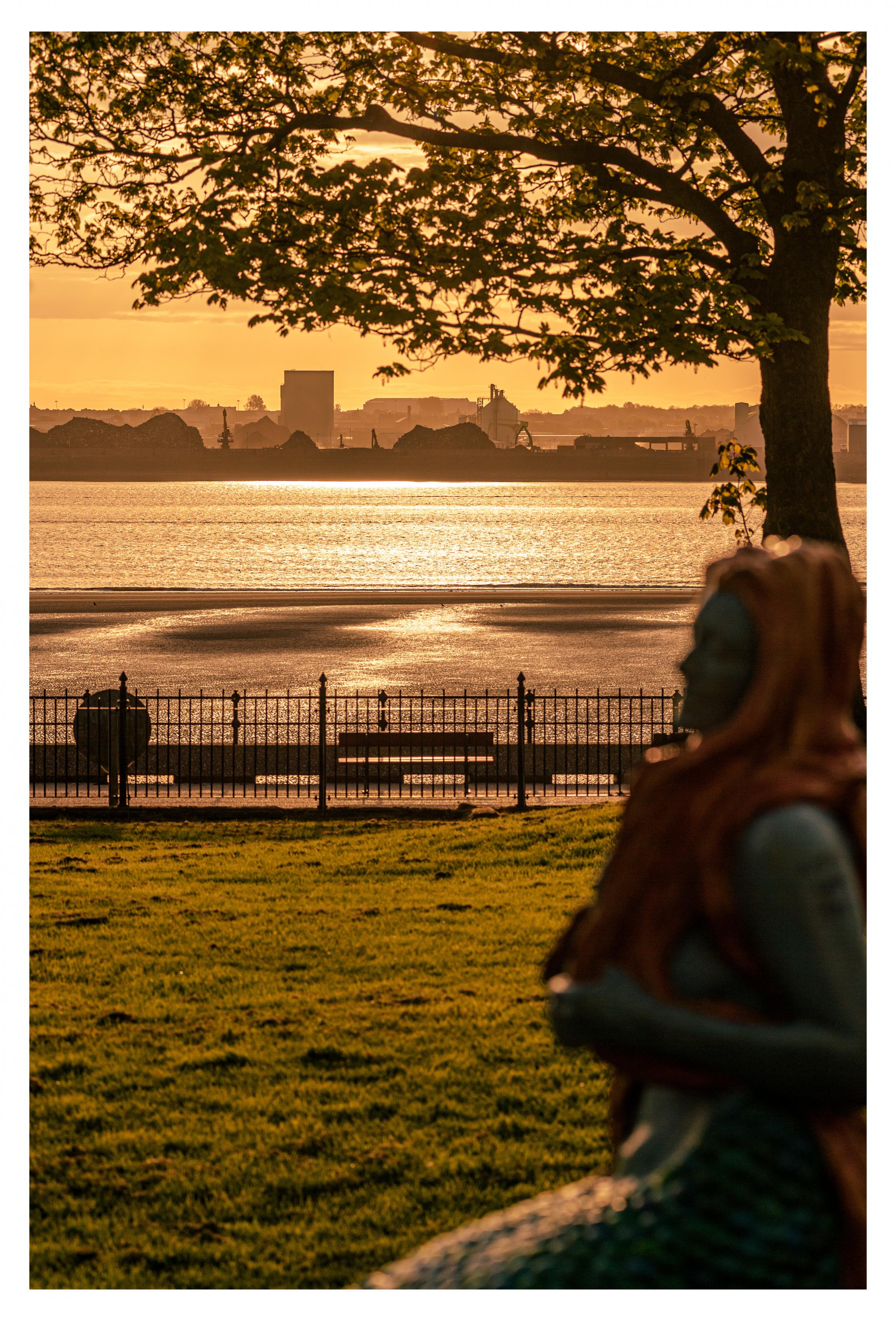 Mersey Mermaid, Vale Park