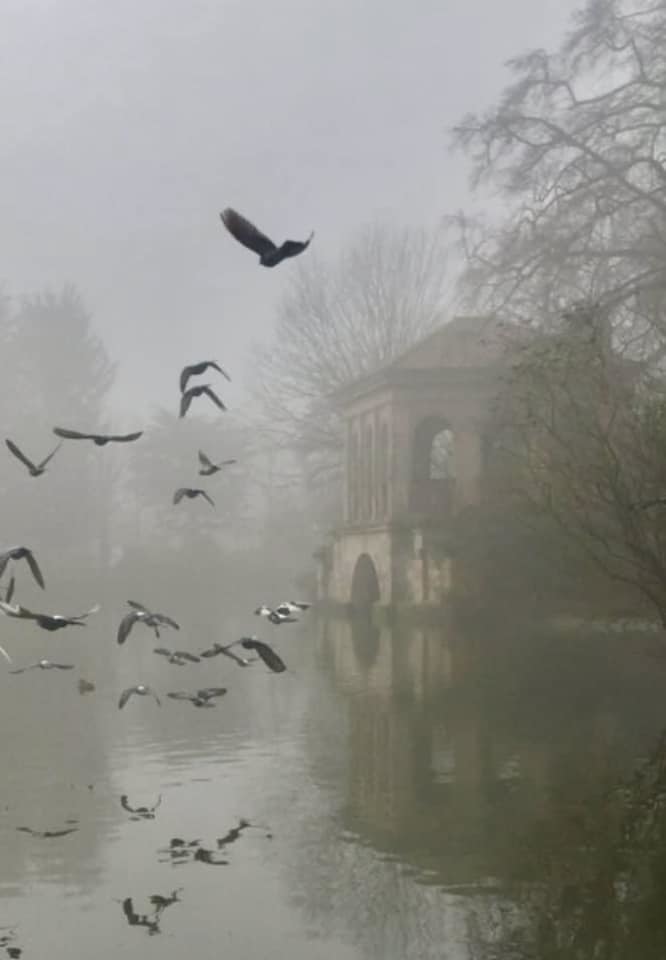 Birds in Birkenhead Park by Beryl Cooke