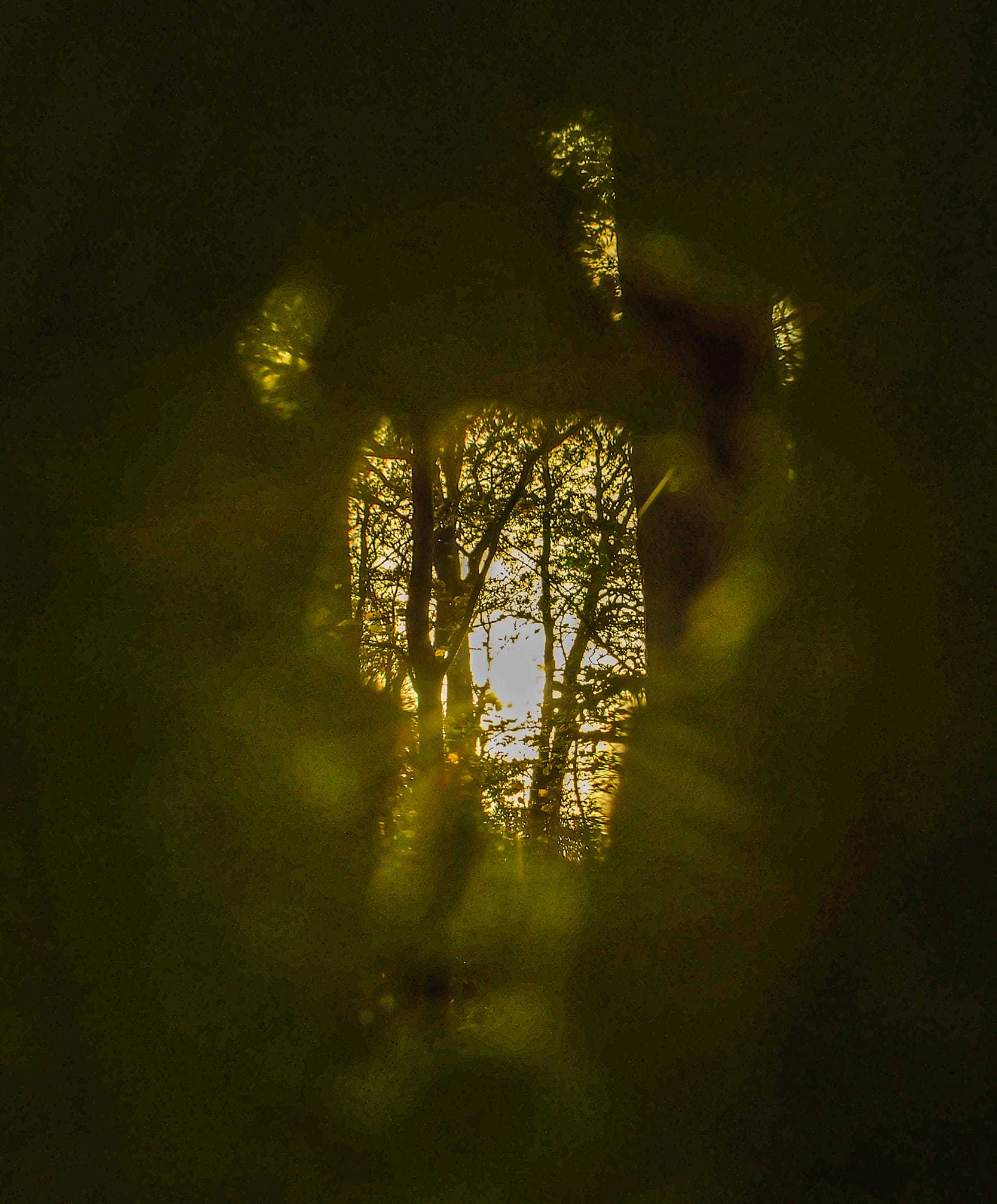 Spooky Arrowe Park by Nicola Jayne