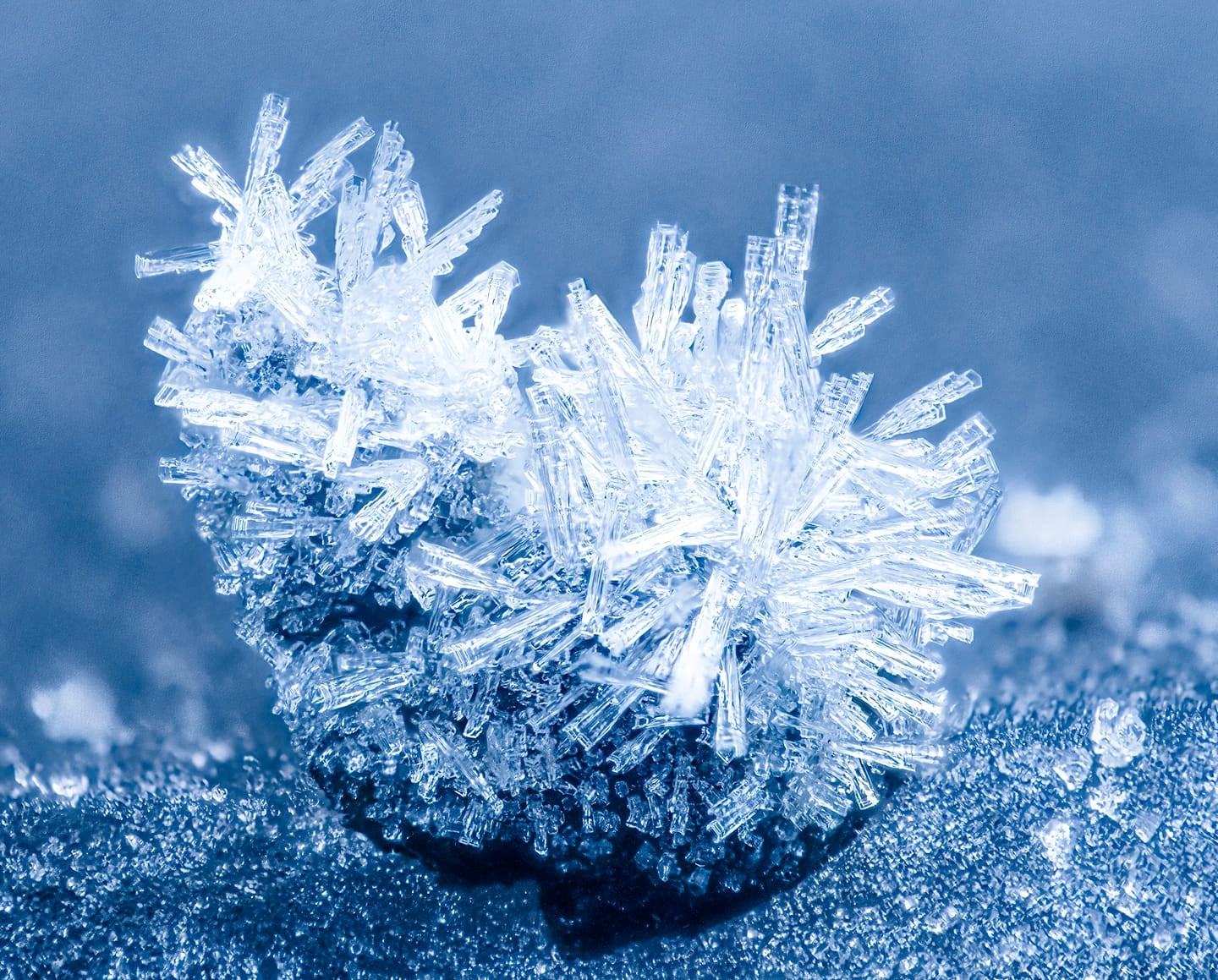 Ice sculpture by Richard Bradford