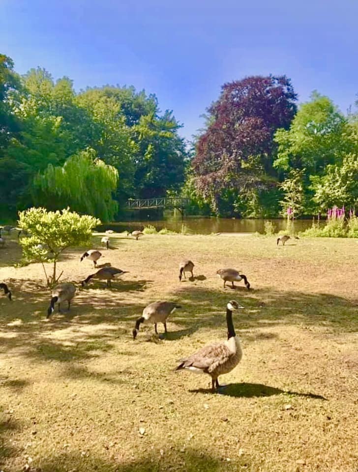 Birkenhead Park by Beryl Cooke