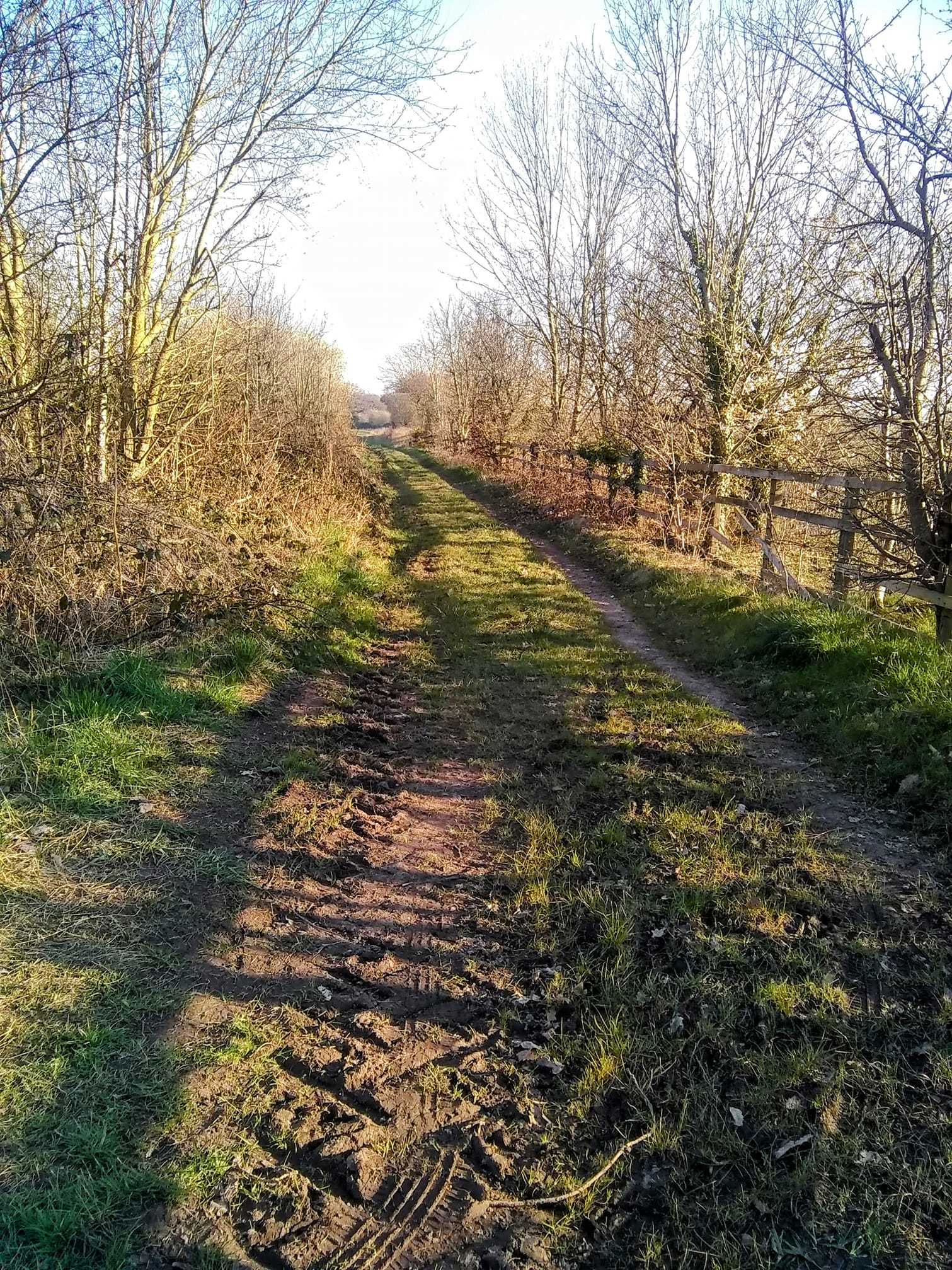 Claremont Farm by Julie Longshaw